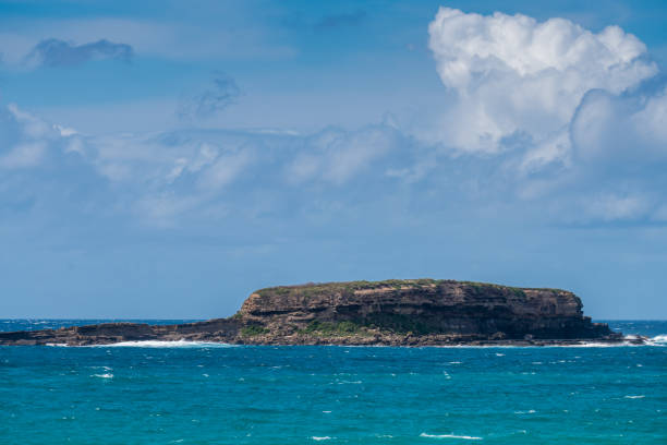 isla avispa frente al sur de durras - parque nacional murramarang fotografías e imágenes de stock