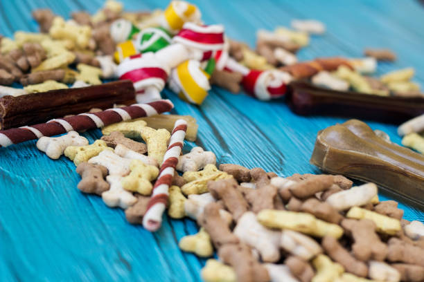 istock Delicious dog treats 1432982361