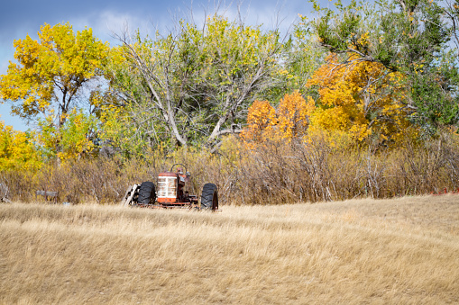 Old broken down farm tractor and autumn colors inn Montana in western USA.