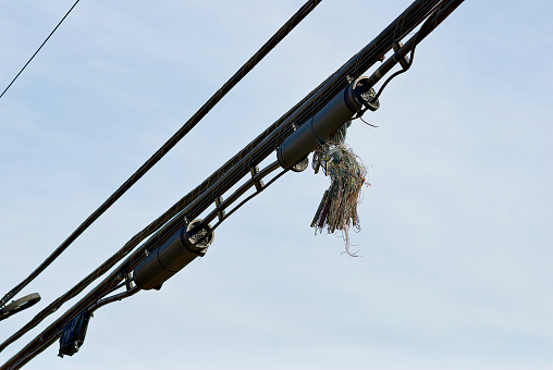 A cluster of disconnected and unused telephone wires hang from an equipment box on a utility cable.