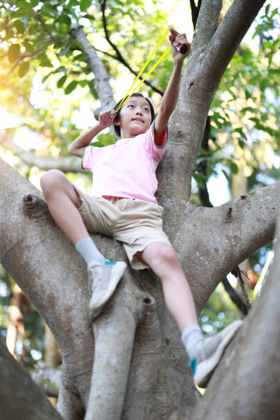istock Boy in a forest with slingshot 1432990533