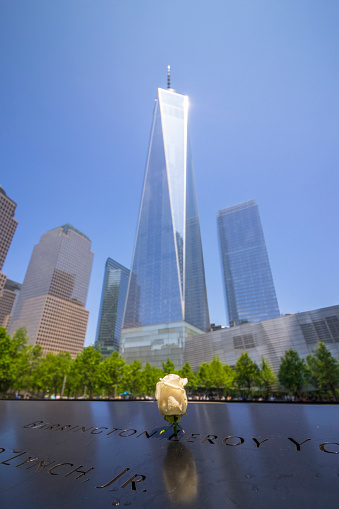 New York, USA - September 7, 2016: White rose on the south pool of the 9-11 memorial in Manhattan, New York.