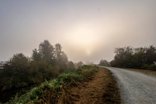 Autumn morning fog and glow from Alouette Slough Wetlands in Port Coquitlam, BC