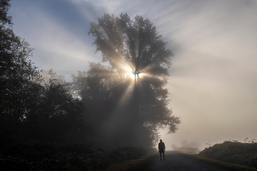 Sunrise with fog and sun, Magnolia Ranch Regional Park, California Gold Country.