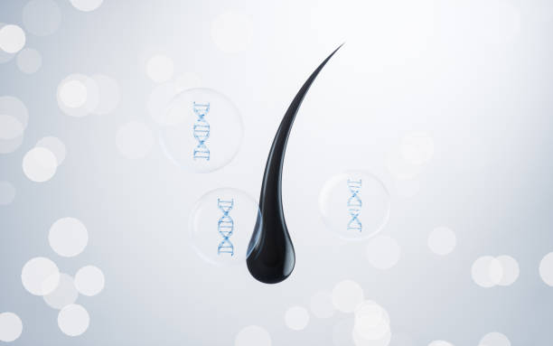 istock 3D hair illustration with hair protection concept, 3d rendering. 1433004362