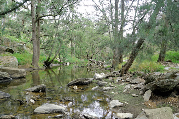 istock Orange,  New South Wales, Australia 1433005493