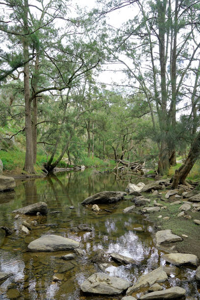 istock Orange,  New South Wales, Australia 1433006240