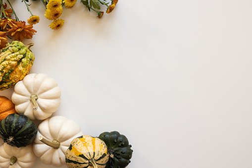 Border of autumn rustic yellow, red and orange flowers and mini white and orange pumpkins with gourds on a white background with copy space