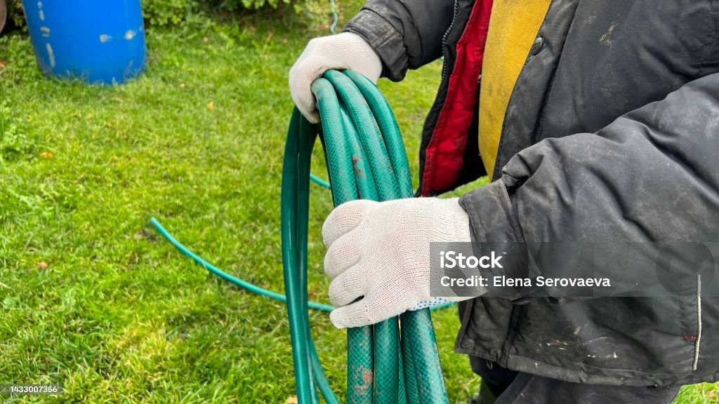 Hands in gloves roll up the watering hose Garden 40-44 Years Stock Photo