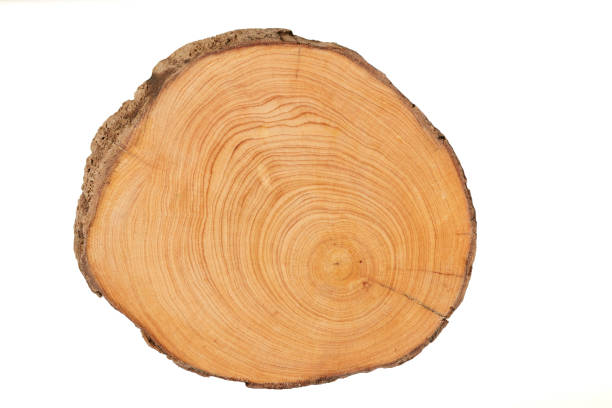 istock Wood plank to use as background and texture. 1433010756