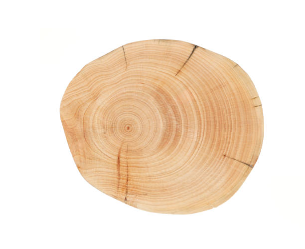 istock Wood plank to use as background and texture. 1433010766