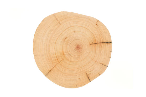 istock Wood plank to use as background and texture. 1433010785