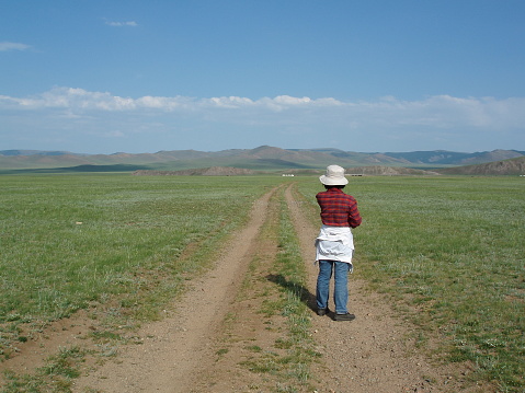 Along the silent road of the unknown steppe, Arkhangai province, Mongolia. The surrounding steppe is so quiet and vast. The road is surrounded by the wild flowers, various insects, and grasshoppers. It is lovely indeed.
