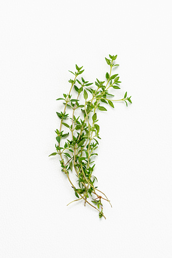 thyme stems leaves white background organic ingredient herb aromatic medicinal