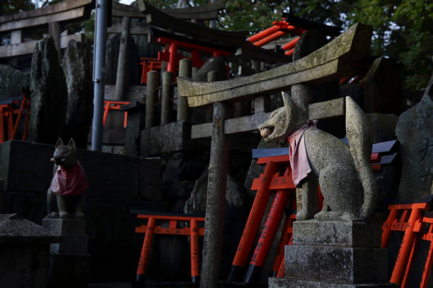 Taken at Fushimi Inari, a famous sightseeing spot in Kyoto. The countless torii gates and stone fox statues create a mysterious atmosphere.