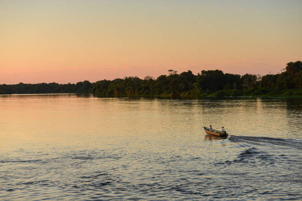 A boat on the rainforest-lined Guaporé-Itenez river at sunset stock photo