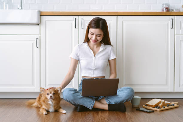 istock Happy beautiful Asian woman freelancer using laptop computer sitting on the floor modern kitchen with her lovely chihuahua dog sit besides at home. Work from home, New normal and Friendly Dog Concept 1433019469
