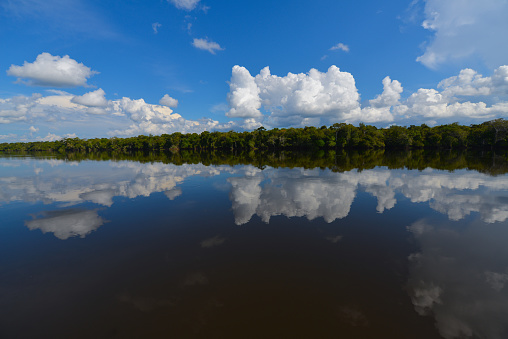 Cloud and rainforest reflections on the Guaporé - Itenez river near Cabixi, Rondonia state, Brazil, on the border with the Beni Department, Bolivia