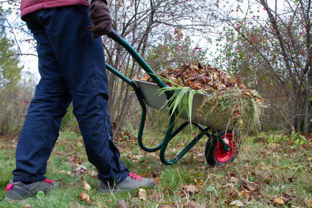 istock a gardener rolls a garden wheelbarrow loaded with fallen leaves 1433023805