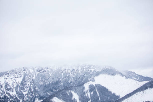 landscape panoramic view of snowed winter tatra mountains in Slovakia