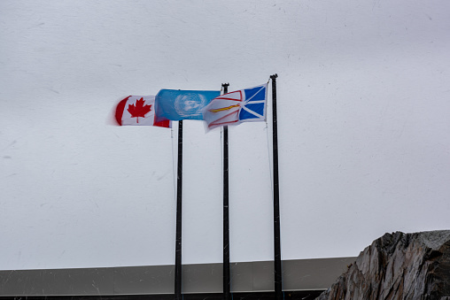 Romanian flags on poles moving in the wind.