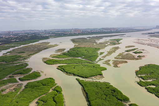 High angle aerial photography of seaside mangroves