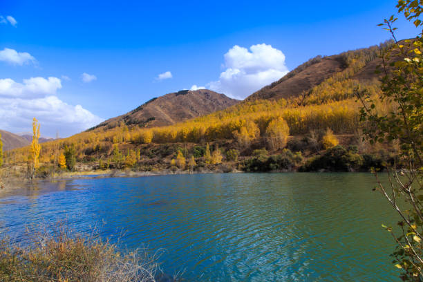 bergsee mit gelben bäumen. herbstlandschaft. kirgisistan, ak-tuz-schlucht. natürlicher hintergrund. - champfer stock-fotos und bilder