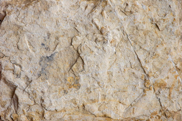 istock texture of nature sandstone - grunge stone surface background 1433034836