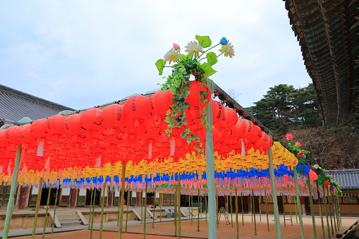 This is a beautiful lotus lantern decorated at Bulguksa Temple in Gyeongju, South Korea.