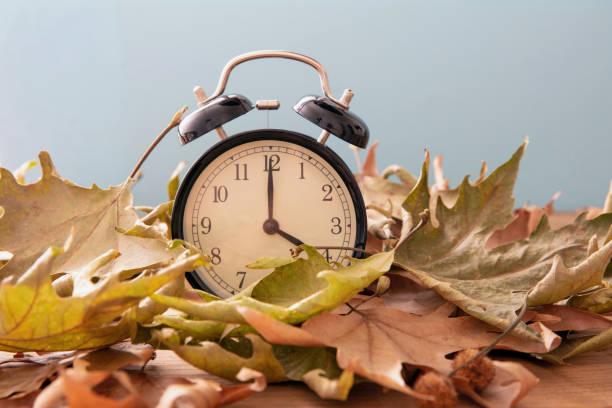 istock Daylight Saving Time, Fall Back. Black clock and autumn leaves on wood 1433040772