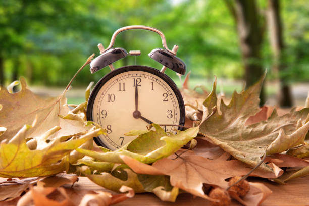 istock Daylight Saving Time, Fall Back. Black clock and autumn leaves on wood 1433040778