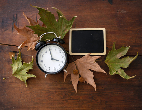 Fall Back, Daylight Saving Time. Black alarm clock empty label and autumn leaves on wooden table, top view