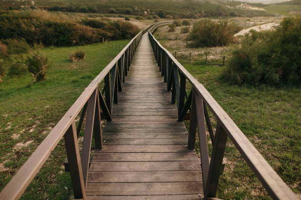 istock Wooden walkway in a natural area 1433043975