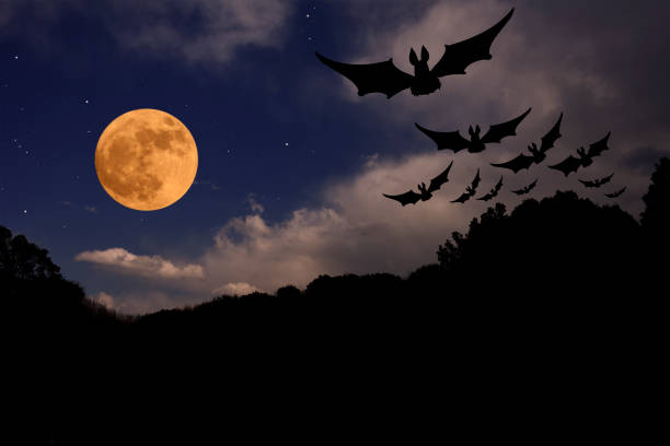 istock Strawberry supermoon rising over the flying bat 1433046823
