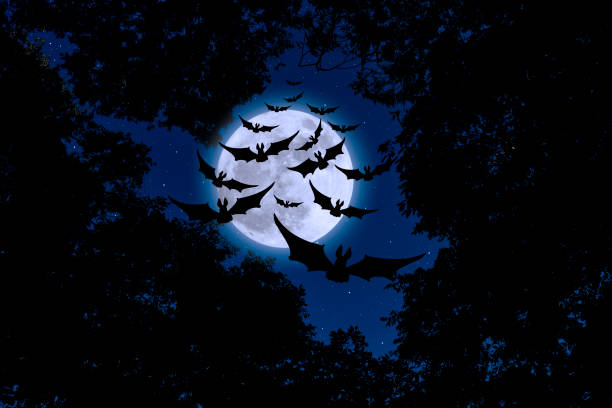 istock Supermoon rising over the flying bat 1433046835