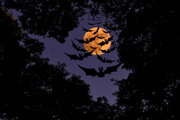 istock Strawberry supermoon rising over the flying bat 1433046840