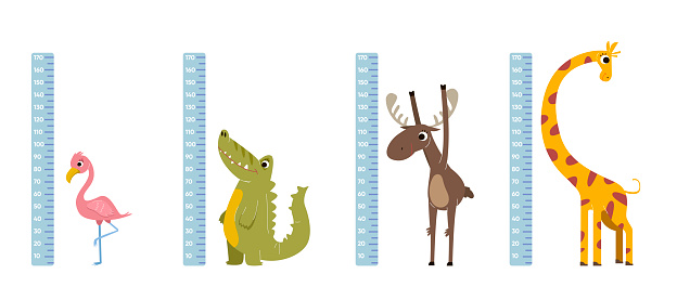 Height rulers with comic animals vector illustrations set. Wall stickers for measuring height of children with cute giraffe, crocodile cartoon characters, growth meter. Measurement, childhood concept