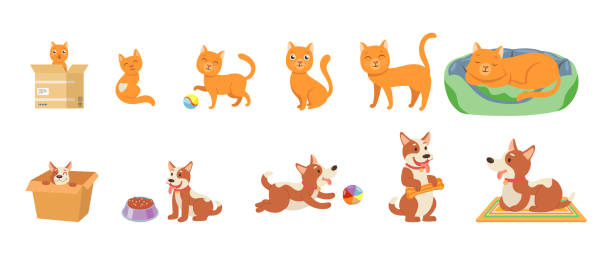 ilustrações de stock, clip art, desenhos animados e ícones de stages of cat and dogs growth cartoon illustration set - dog set humor happiness