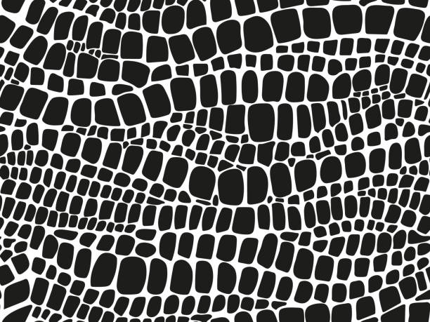 illustrazioni stock, clip art, cartoni animati e icone di tendenza di modello pelle serpente e coccodrillo - lucertola