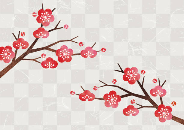 Plum blossoms and Japanese paper background watercolor Plum blossoms and Japanese paper background watercolor blossom flower plum white stock illustrations