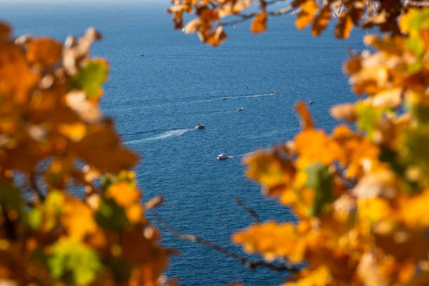 Autumn sea boat. stock photo