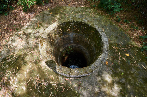 istock concrete well overgrown with moss in the ground 1433050688