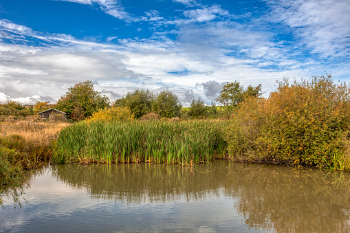 The sunny autumn morning at the pond, misty landscape, Czech Republic, Central Europe