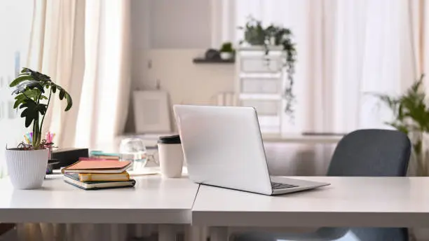 Bright modern office interior with laptop computer, houseplants, books and various office supplies on white table.