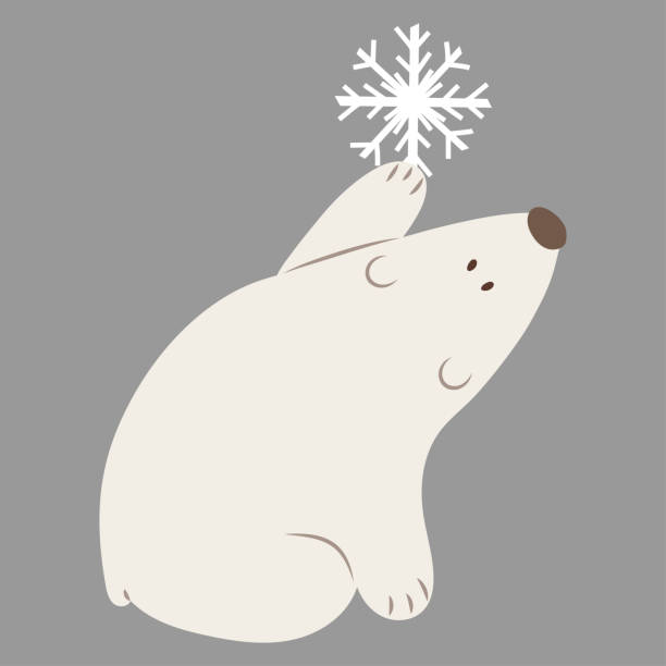 Animated Polar Bear Stock Photos, Pictures & Royalty-Free Images - iStock Animated Polar Bear Stock Photos, Pictures & Royalty-Free Images - iStock