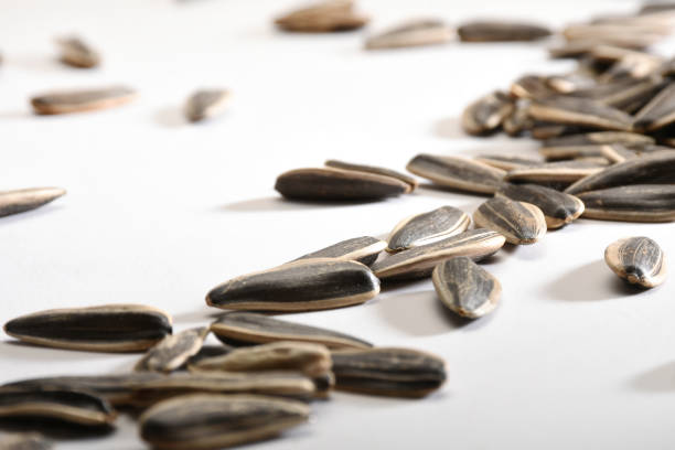 Sunflower seeds black with stripe and peeled seeds. Background of striped and peeled seeds. Tasty delicacy, agro-industrial.