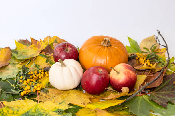 istock Two pumpkins and three red apples on colourful leaves 1433057583