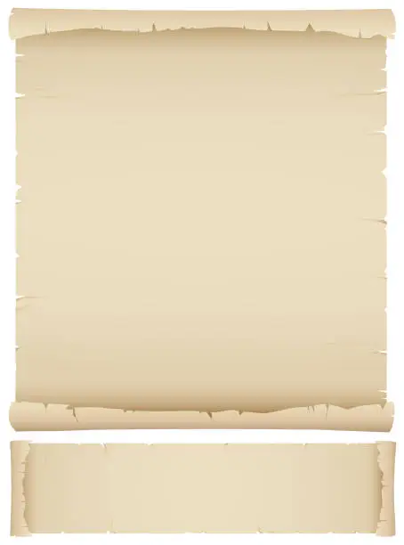Vector illustration of Old Paper Scroll