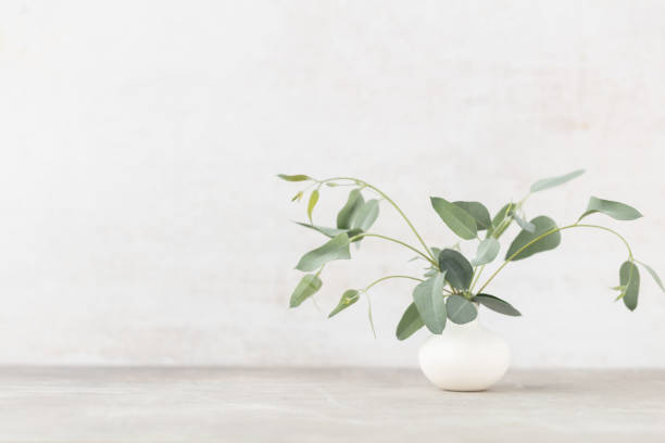 istock Green eucalyptus leaves in vase. Front view. Place for text, copy space, mockup. 1433059022