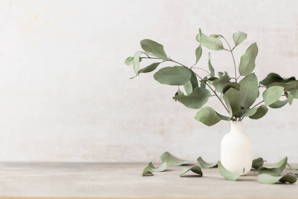 istock Green eucalyptus leaves in vase. Front view. Place for text, copy space, mockup. 1433059026